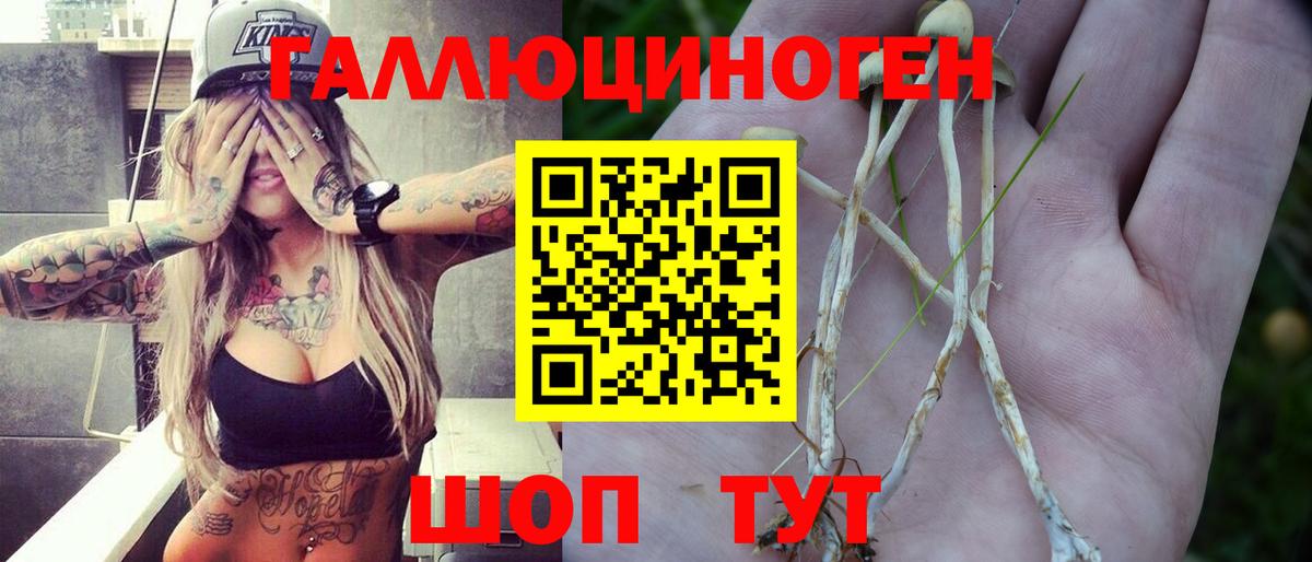 Псилоцибиновые грибы мухоморы Бугуруслан